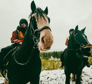 Rutas a caballo en Rovaniemi