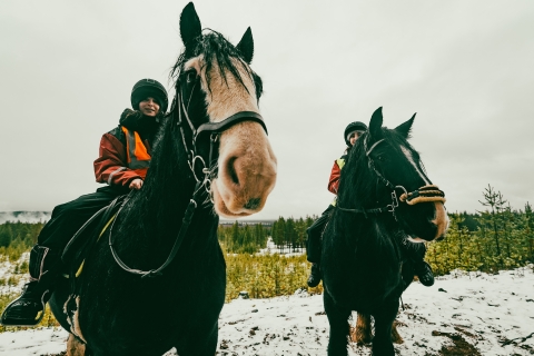 Rovaniemi: Arktyczna jazda konna