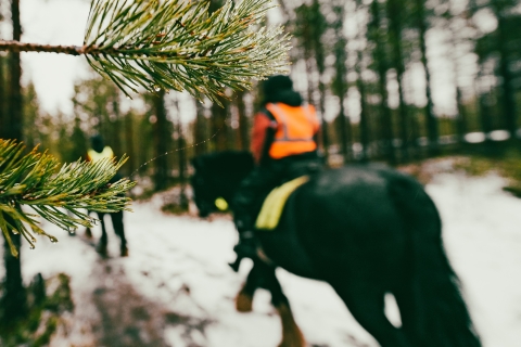 Rovaniemi: expérience d'équitation arctique
