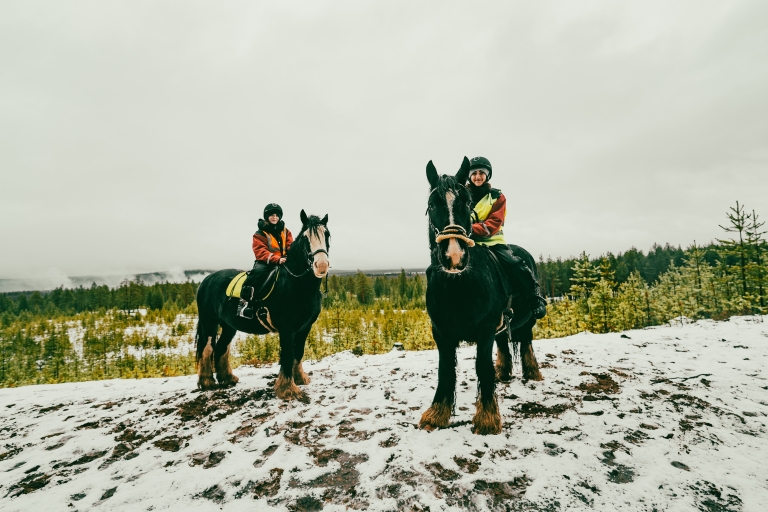 Rovaniemi: Arktyczna jazda konna