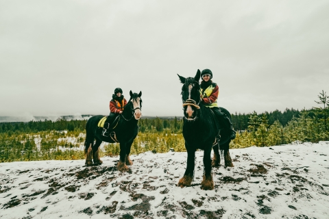 Rovaniemi: expérience d'équitation arctique
