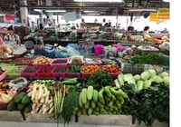 Chiang Mai, corso di cucina mattutina con visita al mercato - Hizvo