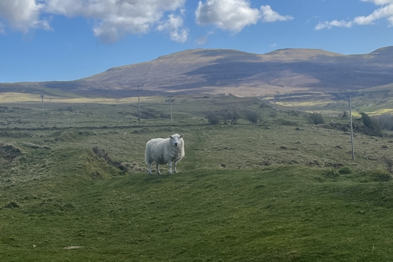 Desde Edimburgo: Excursión de un día a las Tierras Altas de Escocia