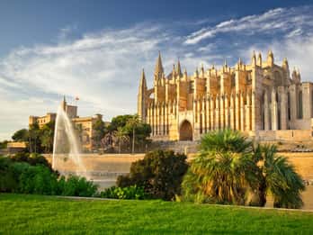 Paguera or Santa Ponsa: Speedboat Cruise to Palma