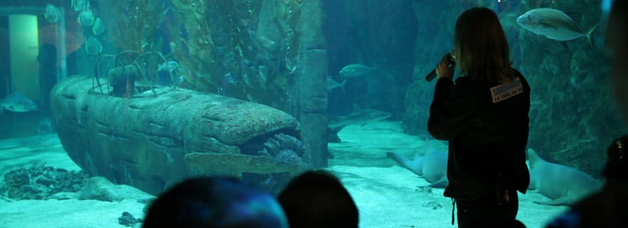 Le Grau-du-Roi : billet coupe-file pour le Seaquarium