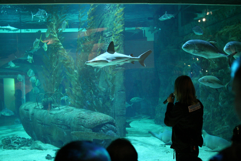 Le Grau-du-Roi: Seaquarium voorrangsticket voor voorrangstoegang