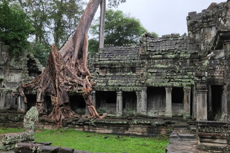 Angkor Wat tempel tur med bil med valfri soluppgångAngkor Wat tempeltur med valfri soluppgång