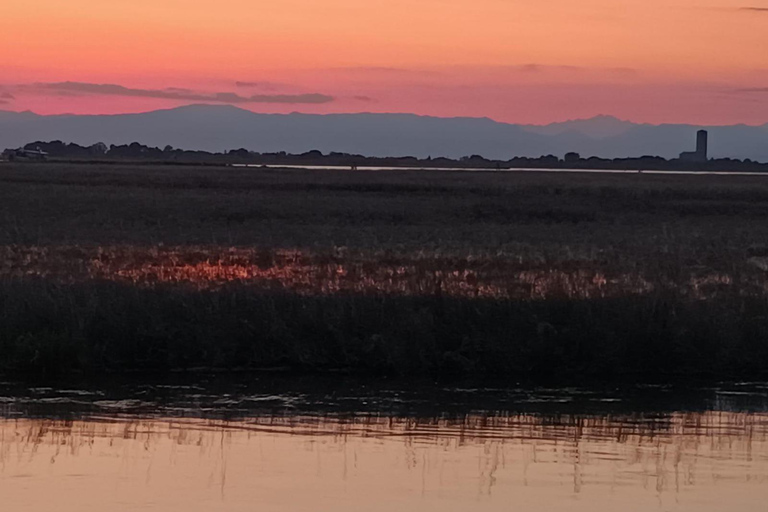 Venezia: Wycieczka prywatna w Barce a Murano, Burano i Torcello