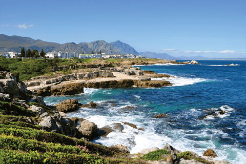 From Cape Town: Hermanus Whale Watching Full Day Tour default