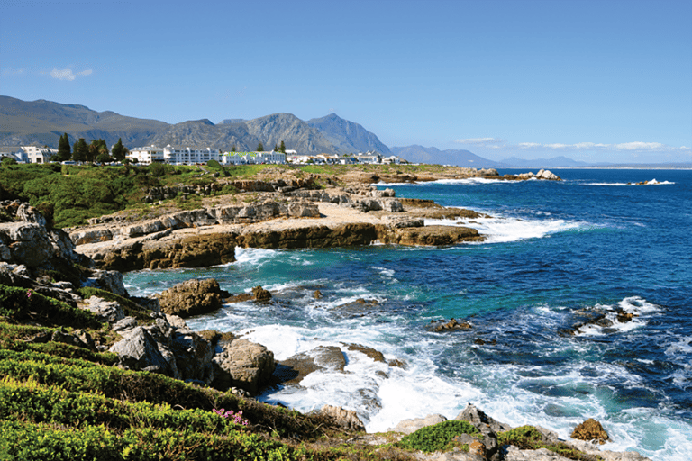 From Cape Town: Hermanus Whale Watching Full Day Tour default