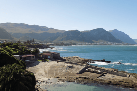 From Cape Town: Hermanus Whale Watching Full Day Tour default