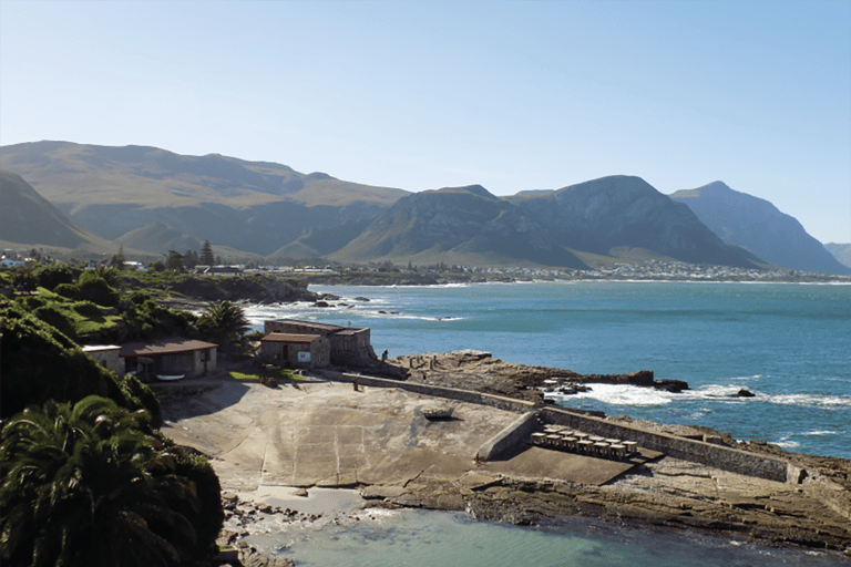 From Cape Town: Hermanus Whale Watching Full Day Tour default