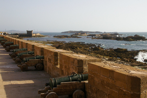 Agadir or Taghazout Essaouira old city day Trip with guide