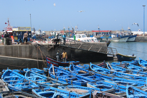 Agadir or Taghazout Essaouira old city day Trip with guide