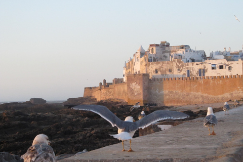 Agadir of Taghazout Essaouira oude stadsdag Trip met gids