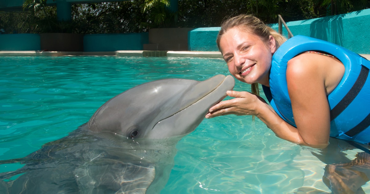 Cancún: Swim With Dolphins At Interactive Aquarium Cancún | GetYourGuide