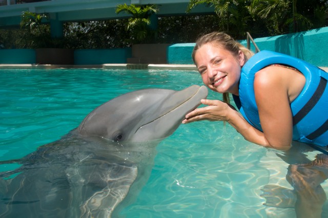 Visit Cancún Swim with Dolphins at Interactive Aquarium Cancún in Cancún