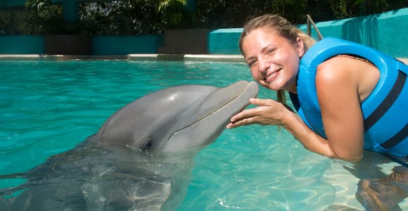Cancun: Interactive Aquarium Admission + Swim with Dolphins Splash