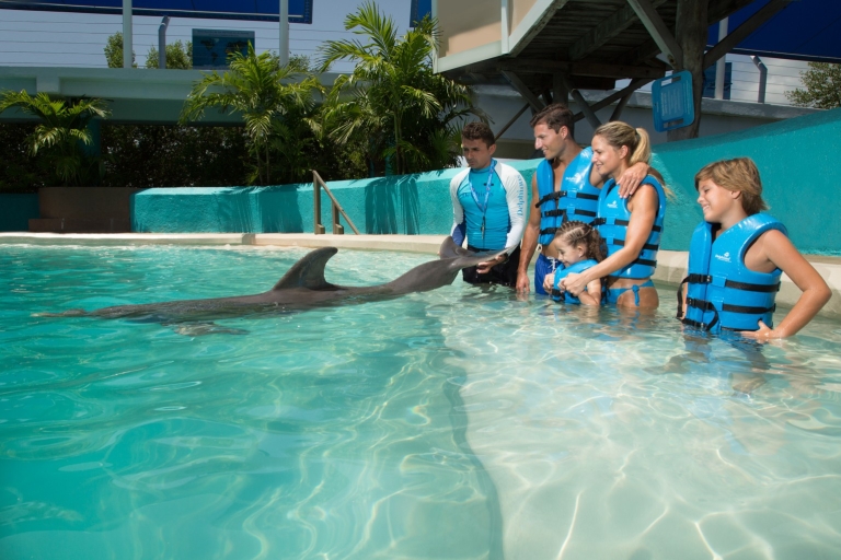 Nagez avec les dauphins Splash - Aquarium interactif de CancunNagez avec les dauphins Splash - Aquarium interactif
