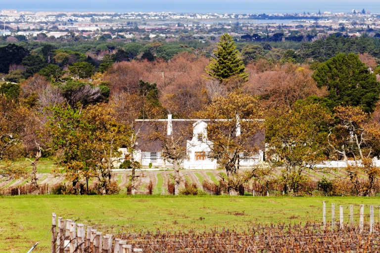 Von Kapstadt aus: Private geführte Winelands-Tour mit AbholungPrivate geführte Winelands Tour mit Hotelabholung