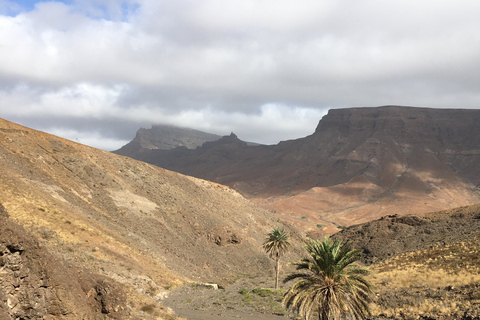 Safari 4x4 dans le désert