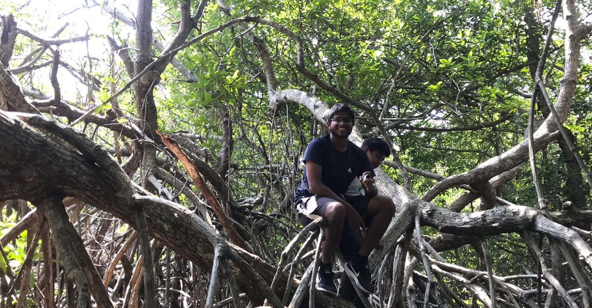 Aventura de manglares en Bentota - Hizvo