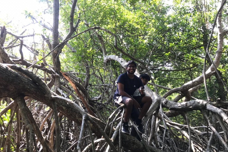Mangroven-Abenteuer in Bentota