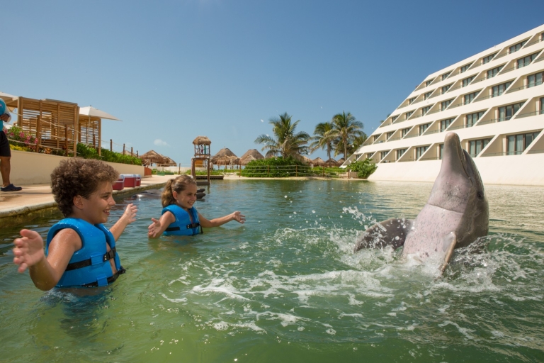 Nado con delfines Supremo - Punta Cancún