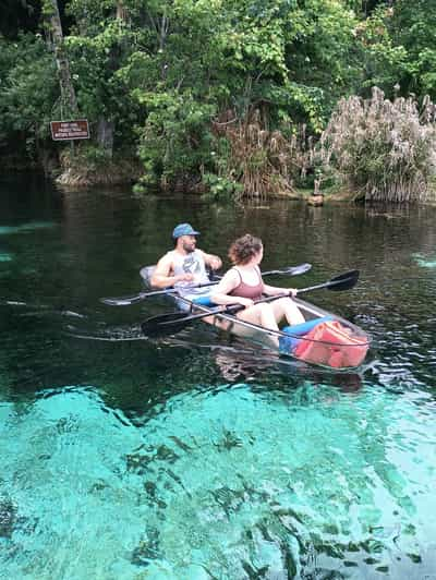 Silver Springs: Manatees and Monkeys Clear Kayak Guided Tour | GetYourGuide