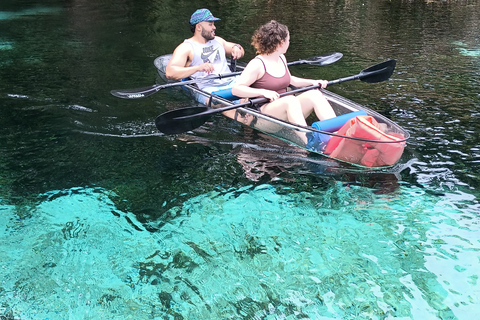 Silver Springs: Seekühe und Affen Klar Kajak geführte Tour