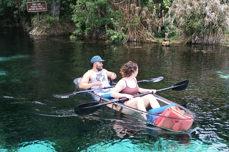 Silver Springs: Peixe-boi e macaco: passeio guiado de caiaque transparente