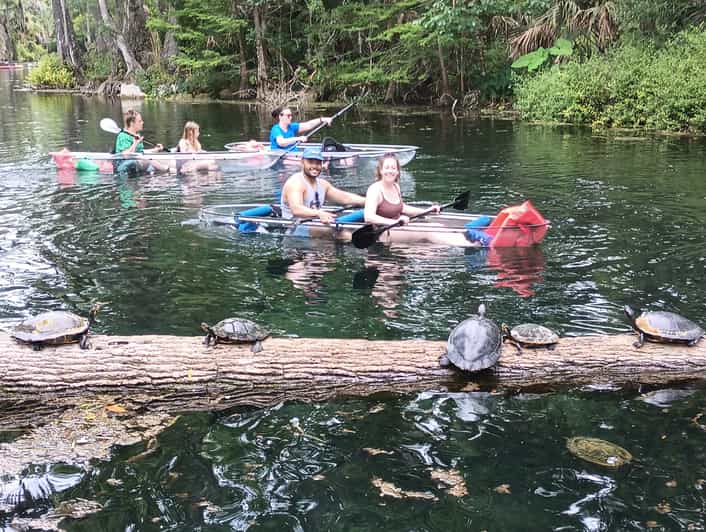 Silver Springs Manatees and Monkeys Clear Kayak Guided Tour GetYourGuide