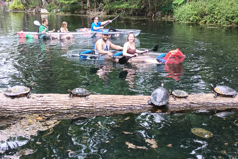 Silver Springs : Lamantins et singes Visite guidée en kayak clairSilver Springs : Les lamantins et les singes : visite guidée en kayak transparent