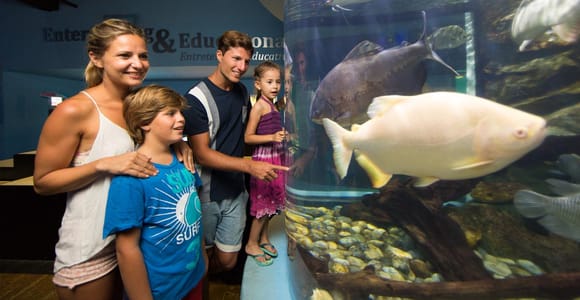 Cancún: Interactive Aquarium Admission