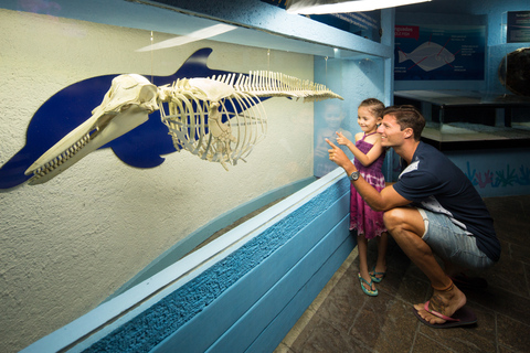 Cancún: biglietto d&#039;ingresso all&#039;Acquario InterattivoCancun: Biglietto d&#039;ingresso per l&#039;Acquario Interattivo