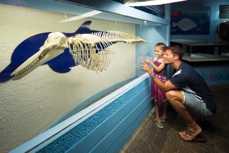 Wejście do interaktywnego akwarium w CancunWejście do interaktywnego akwarium