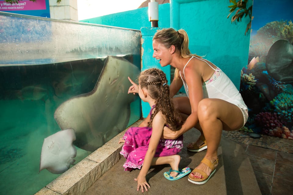 Cancún Interactive Aquarium Entrance Ticket GetYourGuide