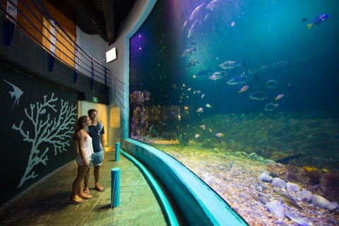 Wejście do interaktywnego akwarium w CancunWejście do interaktywnego akwarium