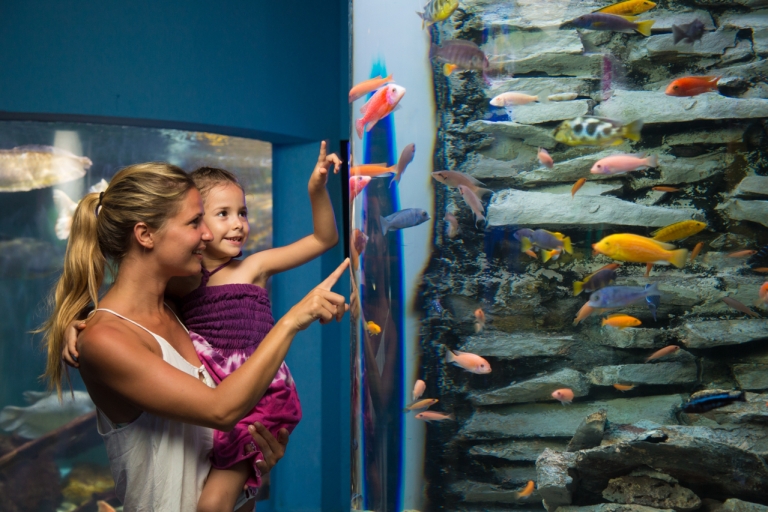 Entrée Interactive Aquarium CancunEntrée de l'aquarium interactif