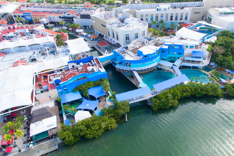 Cancún: biglietto d&#039;ingresso all&#039;Acquario InterattivoCancun: Biglietto d&#039;ingresso per l&#039;Acquario Interattivo