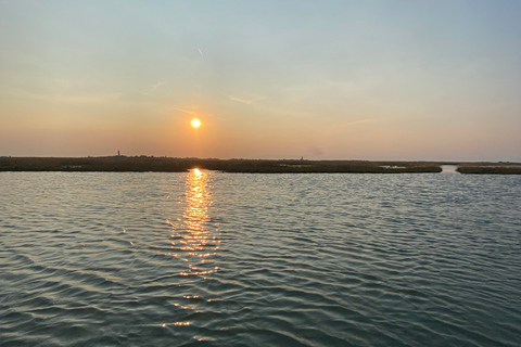 Venezia: Private Tour in Barca nach Murano, Burano und Torcello