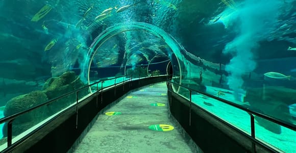 Rio de Janeiro: Tickets für das Meeresaquarium