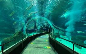Rio de Janeiro: Marine Aquarium Entry Tickets