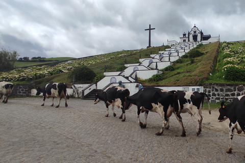 Wyspa São Miguel na jeepieCały dzień na wyspie São Miguel Jeepem