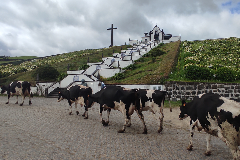 Wyspa São Miguel na jeepieCały dzień na wyspie São Miguel Jeepem