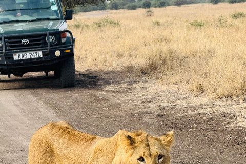 Nairobi Park Safari, Sheldrick's Orphanage & Giraffe Center Shared Drive in Open-Roof Van Game Drive