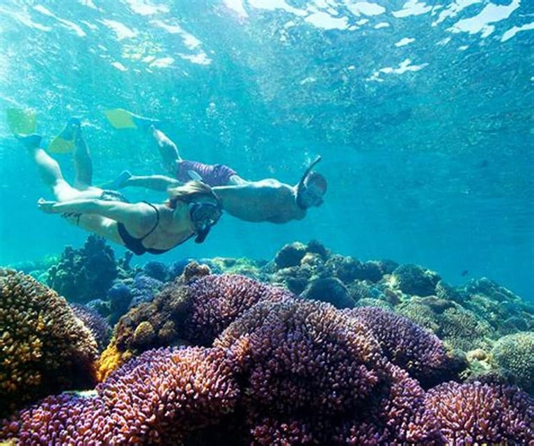 Suitetrails - Boavista, Snorkeling to Shipwreck