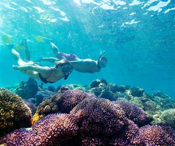 Visit Maio Reef snorkeling in Santo António