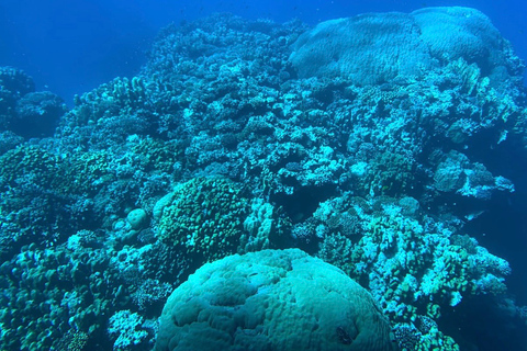 From El Gouna: Royal Seascope Submarine with Snorkel Stop