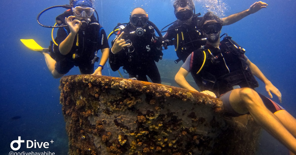 Bayahibe Go Dive Scuba Diving Initiation Getyourguide